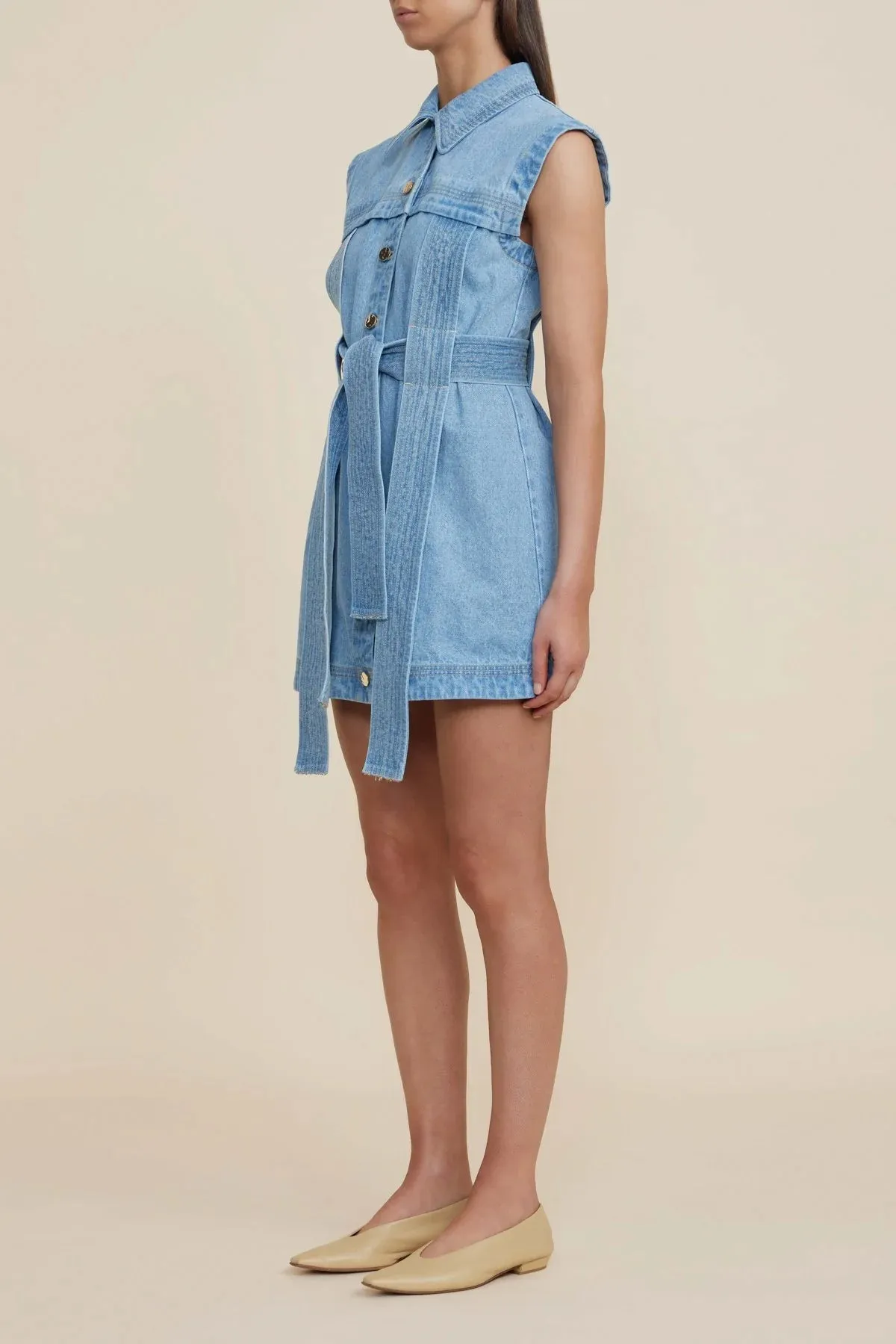 Wiston Mini Dress